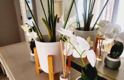 Moreleta Park Apartment | Red Button