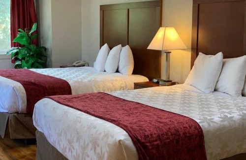 City Center Medford Hotel | Red Carpet Inn Medford