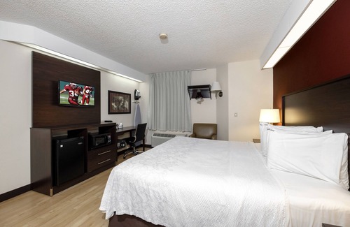 Palm Coast Hotel | Red Roof Inn PLUS+ Palm Coast