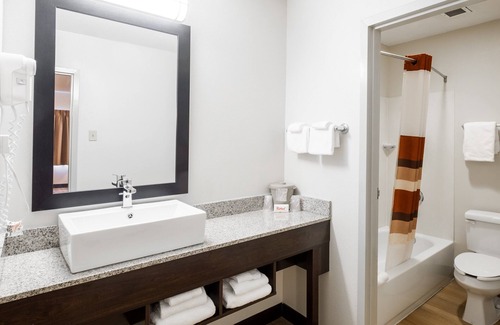 South Deerfield Hotel | Red Roof Inn PLUS+ South Deerfield – Amherst