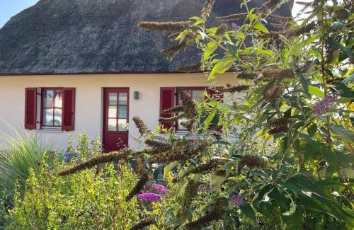 Zierow House | Reethaus "Lütt Seeadler"