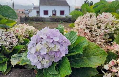 Praia da Vitoria House | Refúgio das Pedreiras
