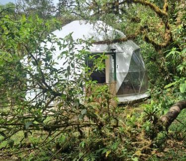 Piedades Norte Hotel | Refugio La Paz EcoGlamping
