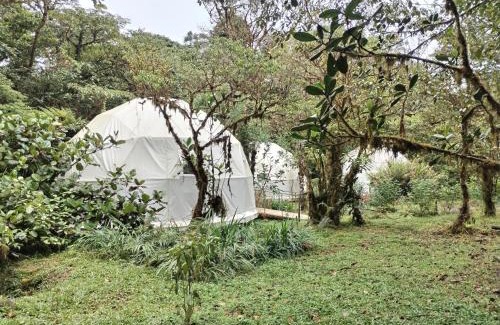 Piedades Norte Hotel | Refugio La Paz EcoGlamping
