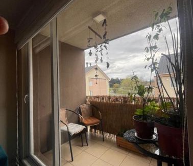 Osorno Apartment | Refugio patagonia