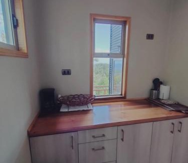 Valdivia Apartment | Refugio Trafwe