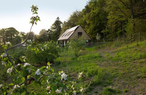 Feldbach House | Refugium am Wald