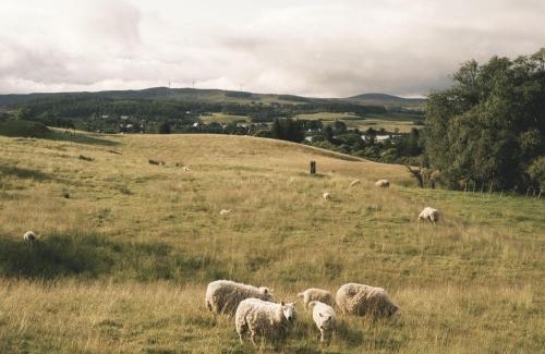 Lairg House | Reids Cottage