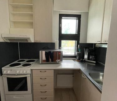 Ylojarvi Apartment | Reissuparkki