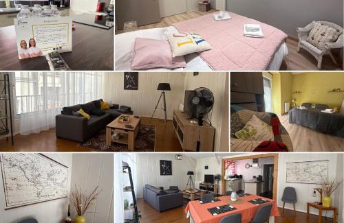 Thouars House | Relais des Arts, très spacieux et lumineux centre ville thouars