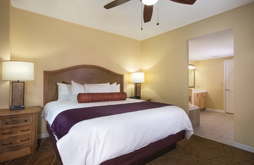 Survey Creek Resort | Relax at our Palm Tree secluded Resort with a poolside bar and waterslide