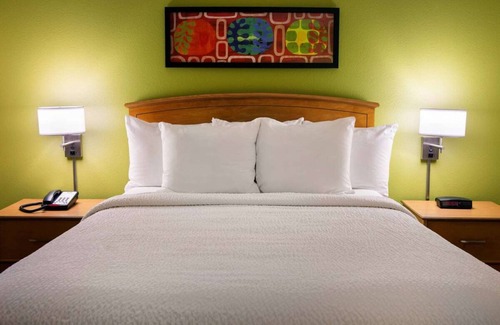 Shea Business Park Hotel | Relaxing Pet-Friendly Property in Scottsdale, With Kitchen and Pool!
