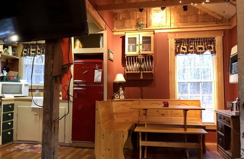 Harrison Cabin | Remote Cabin 2 1/2 hours from Detroit
