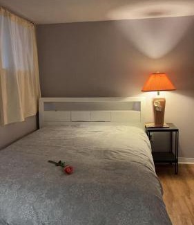 Richmond Hill Villa | Renovated 2 Queen Beds Unit with Private Kitchen and Bathroom Near Yonge Street Basement