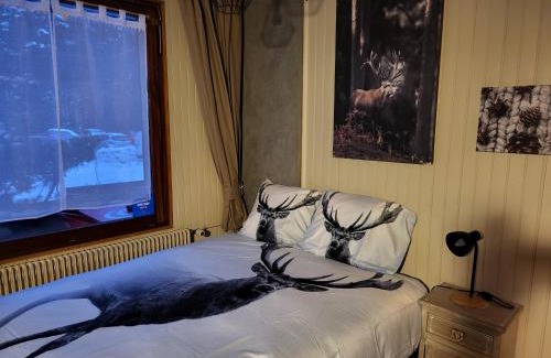 La Bresse Apartment | RESIDENCE BELLE HUTTE COTÉ PISTES DE SKI 2