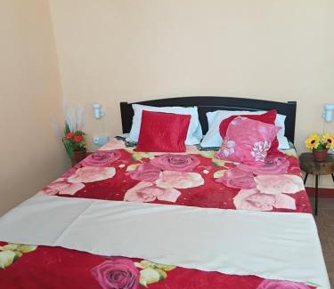 Surinam Bed & Breakfast | Residence des cascades