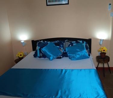 Surinam Bed & Breakfast | Residence des cascades