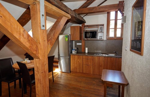Cesky Krumlov Apartment | Residence Muzeum Vltavinu