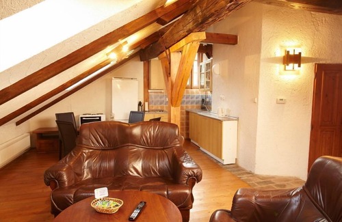 Cesky Krumlov Apartment | Residence Muzeum Vltavinu