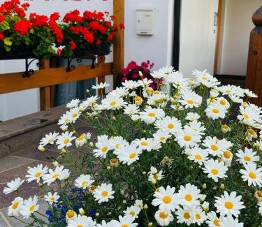 Selva di Val Gardena Apartment | Residence Ravisa Dolomites