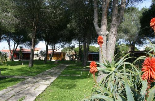 Cabras Apartment | Residence Sa Pintadera