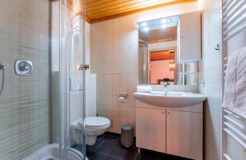 Viehhofen Apartment | Residenz am Erzbach