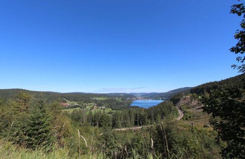 Feldberg Apartment | Residenz Grafenmatt im Schwarzwald