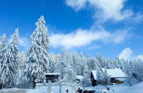 Feldberg Apartment | Residenz Grafenmatt im Schwarzwald