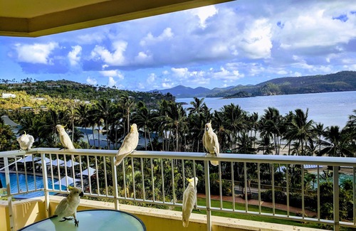 Hamilton Island Apartment | Resort apartment with panoramic beach views