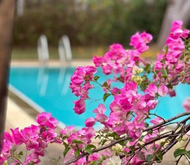 Hang Dong Resort | resort hoshihana