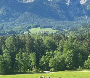 Siegsdorf Apartment | REST - Ferienwohnung "Sonnenblume" mit schönem Bergpanorama - ab Mai Chiemgaukarte NEU!