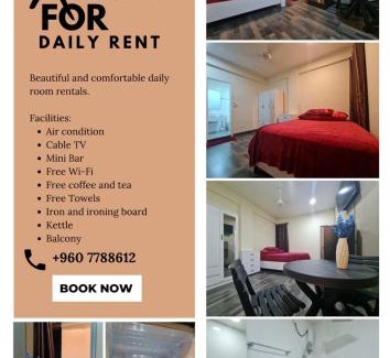 Male House | Resting View