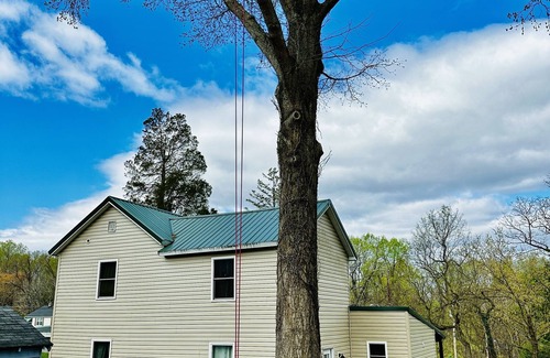 Lynchburg House | Retro Modern Restored 1930's-Home Near Downtown Lynchburg & LU