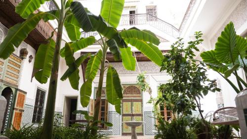 Sidi Bou Amar House | Riad Afous