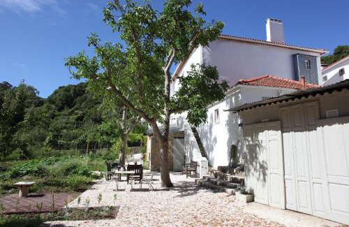Monserrate Apartment | ribeira dos marinheiros azul