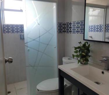 Coyoacan House | Rincón Raíz