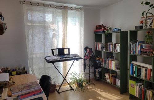 Coyoacan House | Rincón Raíz