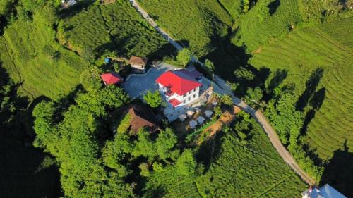 Findikli House | Rino hauss