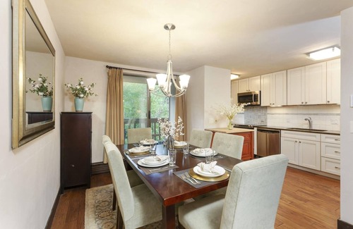 Aspen Apartment | Riverview 10 in Aspen
