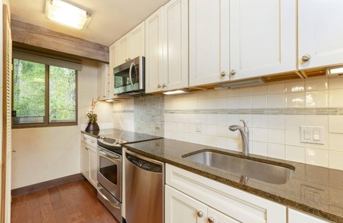Aspen Apartment | Riverview 10 in Aspen