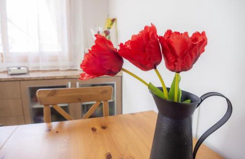 Calafell Apartment | Rocket - Xeckin Holidays