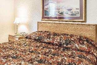 Glenwood Springs Hotel | Rodeway Inn Rifle