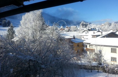 Tarvisio Apartment | Rododendro 10