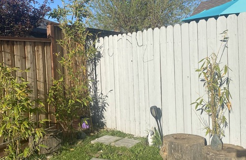 Livermore Cottage | Romantic place - close to downtown Livermore and local wineries