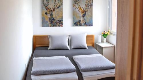 Rezi Apartment | Romantikus Erdei Kunyhó Jakuzzival Hévíz Közelében