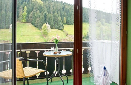 Bad Rippoldsau-Schapbach Apartment | Room 'Helga' with Shared Terrace, Balcony and Wi-Fi