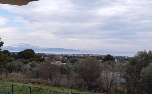 Spata-Artemida Apartment | Room near the Airport