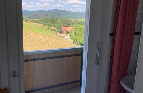 Muehlenbach Apartment | Room 'No. 1' with Private Balcony, Shared Garden and Wi-Fi