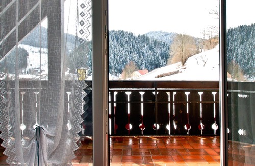 Bad Rippoldsau-Schapbach Apartment | Room 'Sonja' with Shared Terrace, Balcony and Wi-Fi