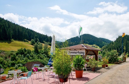 Bad Rippoldsau-Schapbach Apartment | Room 'Sonja' with Shared Terrace, Balcony and Wi-Fi